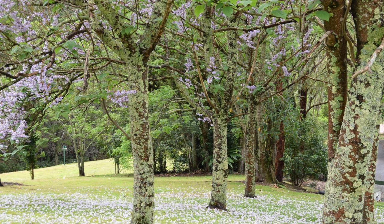 Bed and Breakfast Copeland House Esterno foto